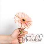 motherhood simplified